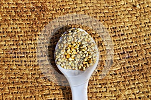 Pearl millet close up view,bajra agriculture sack background,Pile of golden millet, a gluten free grain seed,  white spoon in