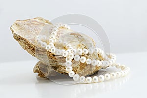 Pearl necklace, upon a fossil oyster shell