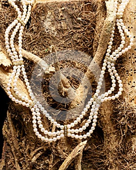 Pearl necklace laying on a tree photo