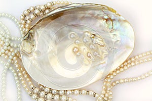 Pearl necklace with natural pearls in a oyster shell