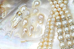 Pearl necklace with natural pearls in a oyster shell