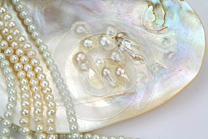 Pearl necklace with natural pearls in a oyster shell photo