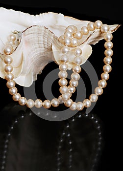 Pearl necklace in sea shell
