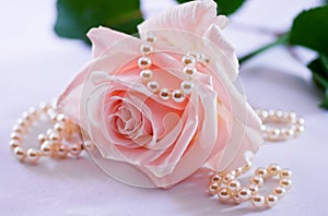 Pearl necklace and soft pink rose photo