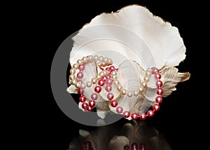 Pearl necklaces in an open sea shell