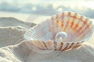 Pearl Nestled in Seashell on Sunny Beach Sands