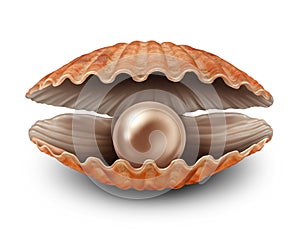 Pearl In Open Shell photo