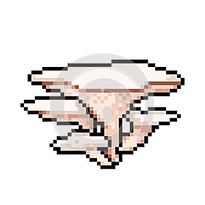 Pearl oyster mushroom pixel art vector drawing