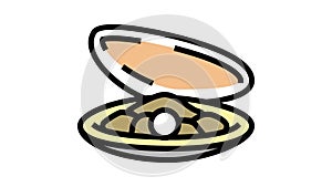 pearl oyster shell color icon animation