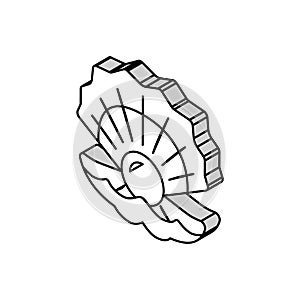 pearl oyster shell isometric icon vector illustration