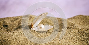 Pearl in a seashell on the beach