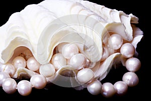 Pearl in shell