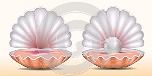 set of realistic beautiful opened shell with pearl or opened sea shell with soft mollusk. eps vector.