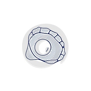Pearl in a shell line icon. Pearl in a shell linear hand drawn pen style line icon