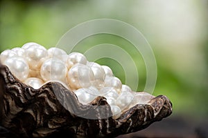 Pearl on shell and on nature background