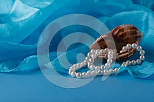 Pearl and Shell, Paua shell and pearl ornaments on blue drapery