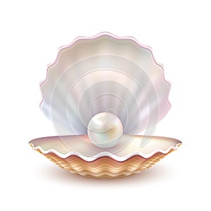 Pearl Shell Realistic Close Up Image photo