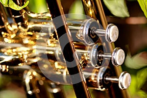 Pearl valves of a trumpet