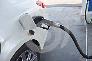 Pearl white auto pumping gasoline from a gas pump