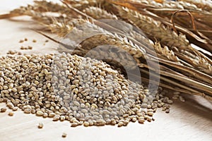 Pearled Barley