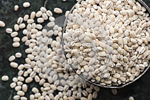 Pearled Barley close-up