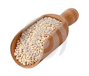 Pearled Barley in a Wood Scoop