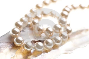 Pearls and abalone background