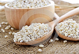 Pearls barley grain seed