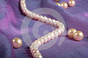 Pearls a necklace on purple silk fabric.
