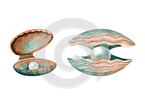 Pearls in open sea shells watercolor illustration set. Hand drawn freshwater pearl mussels in orange and blue green