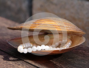 Pearls and shell