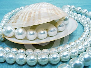Pearls and shell