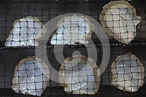 Pearls shells in fishing net background