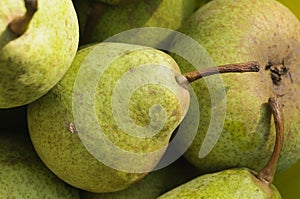 Pears