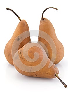 Pears