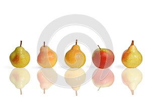 Pears and apple fruits