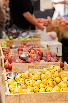 Pears and apples at the farmers market