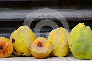 Pears , apples and quince