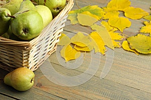 Pears and autumn leaves