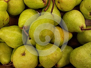 Pears background texture