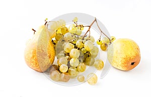 Pears and branches of ripe grapes