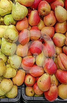 Pears bulk