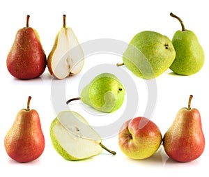 Pears collection on white background