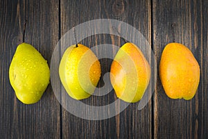 Pears of different ripeness on dark rustic wooden background