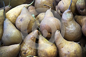 Pears at the Farmer`s market