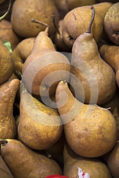 Pears at the Farmer`s market