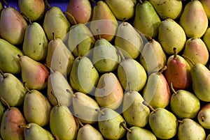 Pears Pile