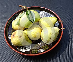 Pears in the plate in garden