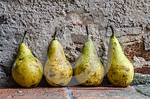 pears in a row