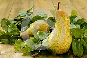 Pears, selective focus